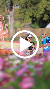 BIB:  <button type="button" onclick="openModal(27588512)" class="btn btn-primary btn-sm float-right" data-toggle="modal" data-target=".modal-high-quality">
                <i class="fa fa-download"></i> Download
                </button>